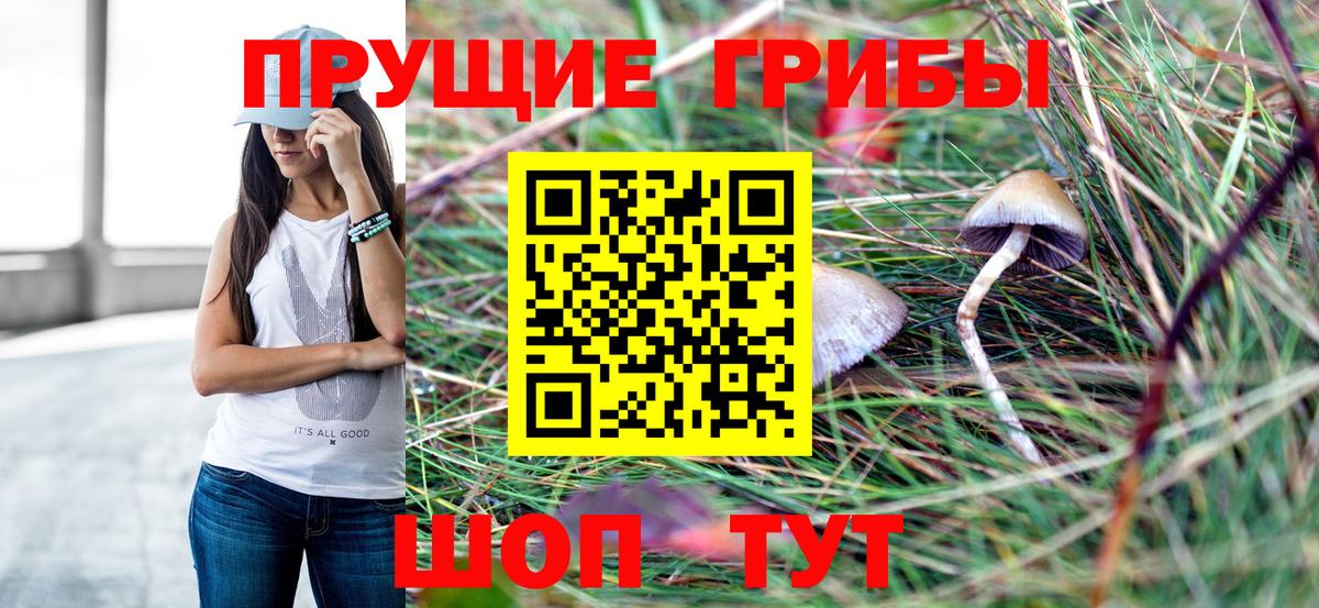Псилоцибиновые грибы GOLDEN TEACHER  Галлюциногенные грибы Cubensis  Павлово  Вход с VPN 